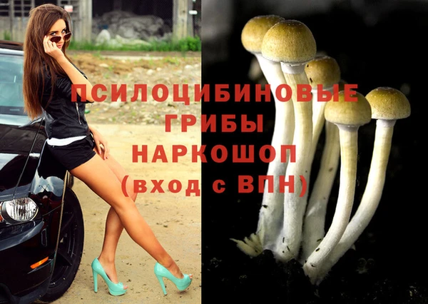скорость Мегион