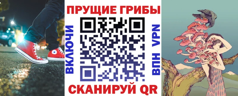 Псилоцибиновые грибы ЛСД  купить наркотики цена  Ершов 